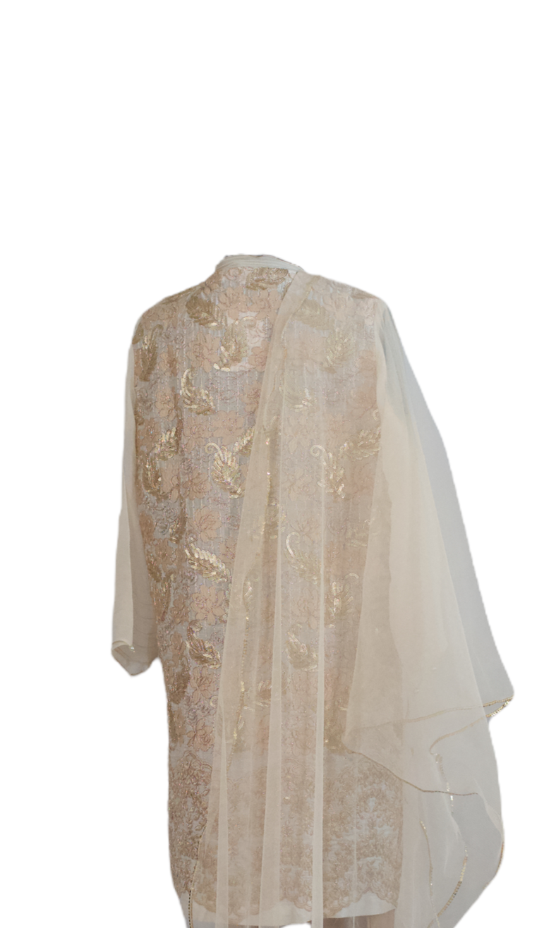 Agha Noor (3pc) Dress