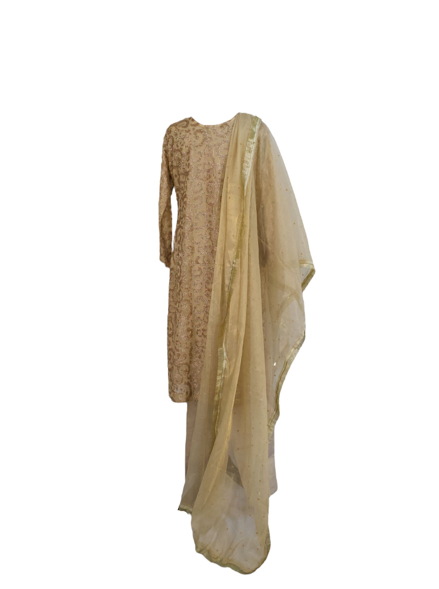 Gold Net Stone work (3pc) dress